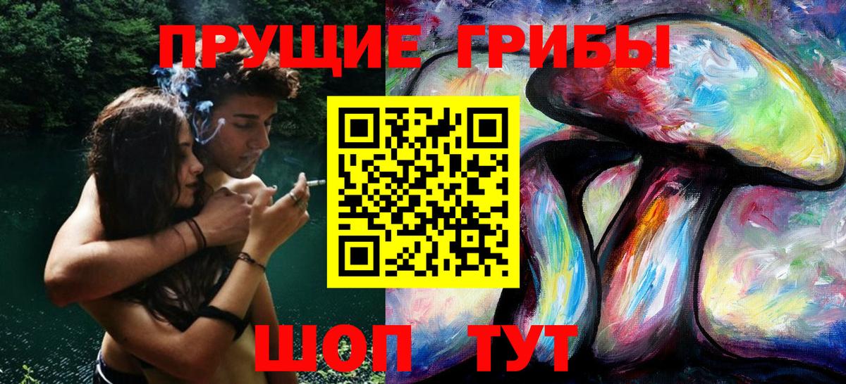 Ярославль  Псилоцибиновые грибы прущие грибы  Вход с VPN 