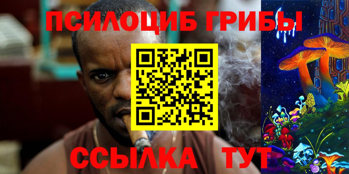Галлюциногенные грибы прущие грибы Ярославль